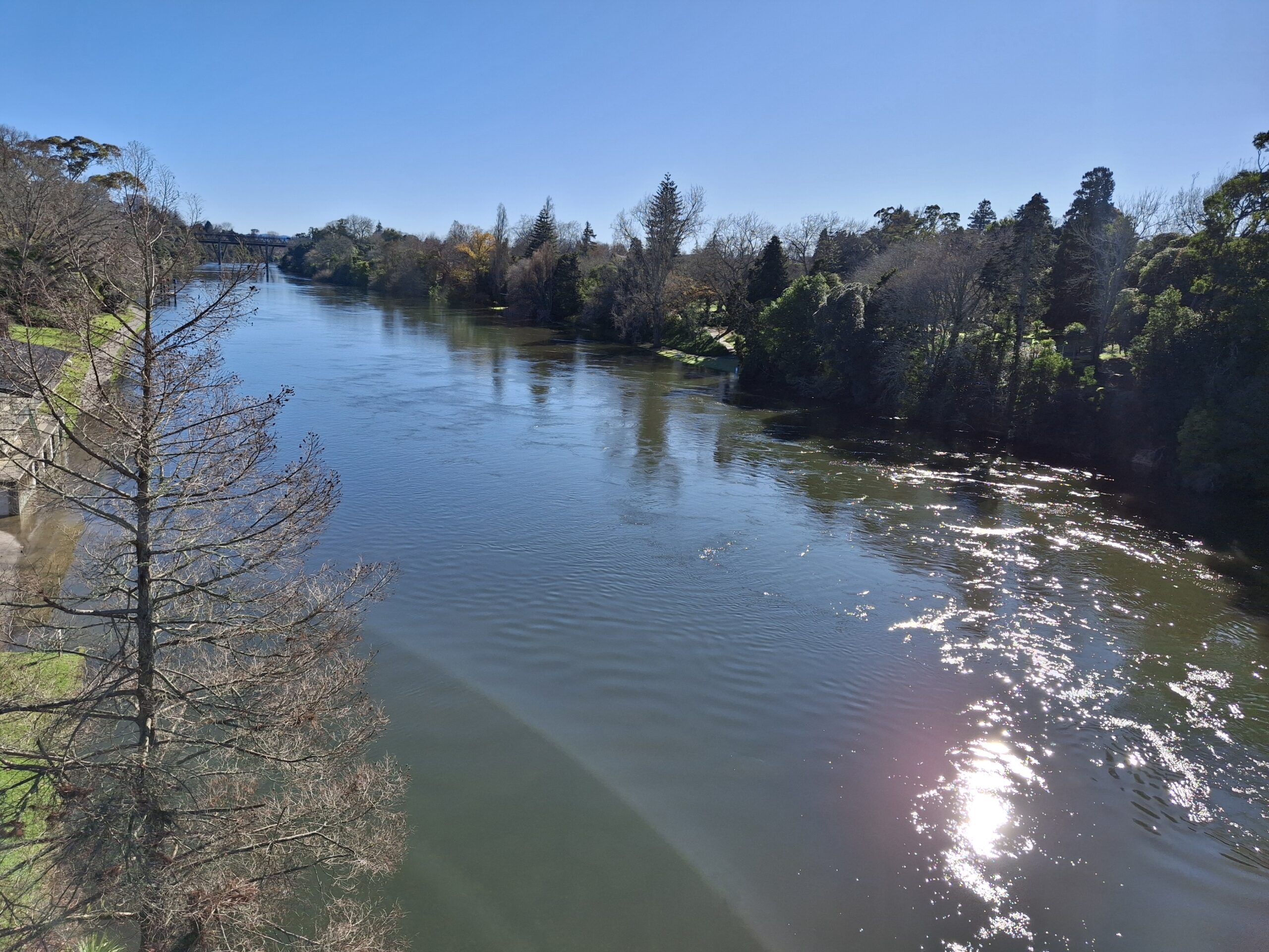 The Waikato River viewed from the Victoria Bridge, Hamilton, New Zealand